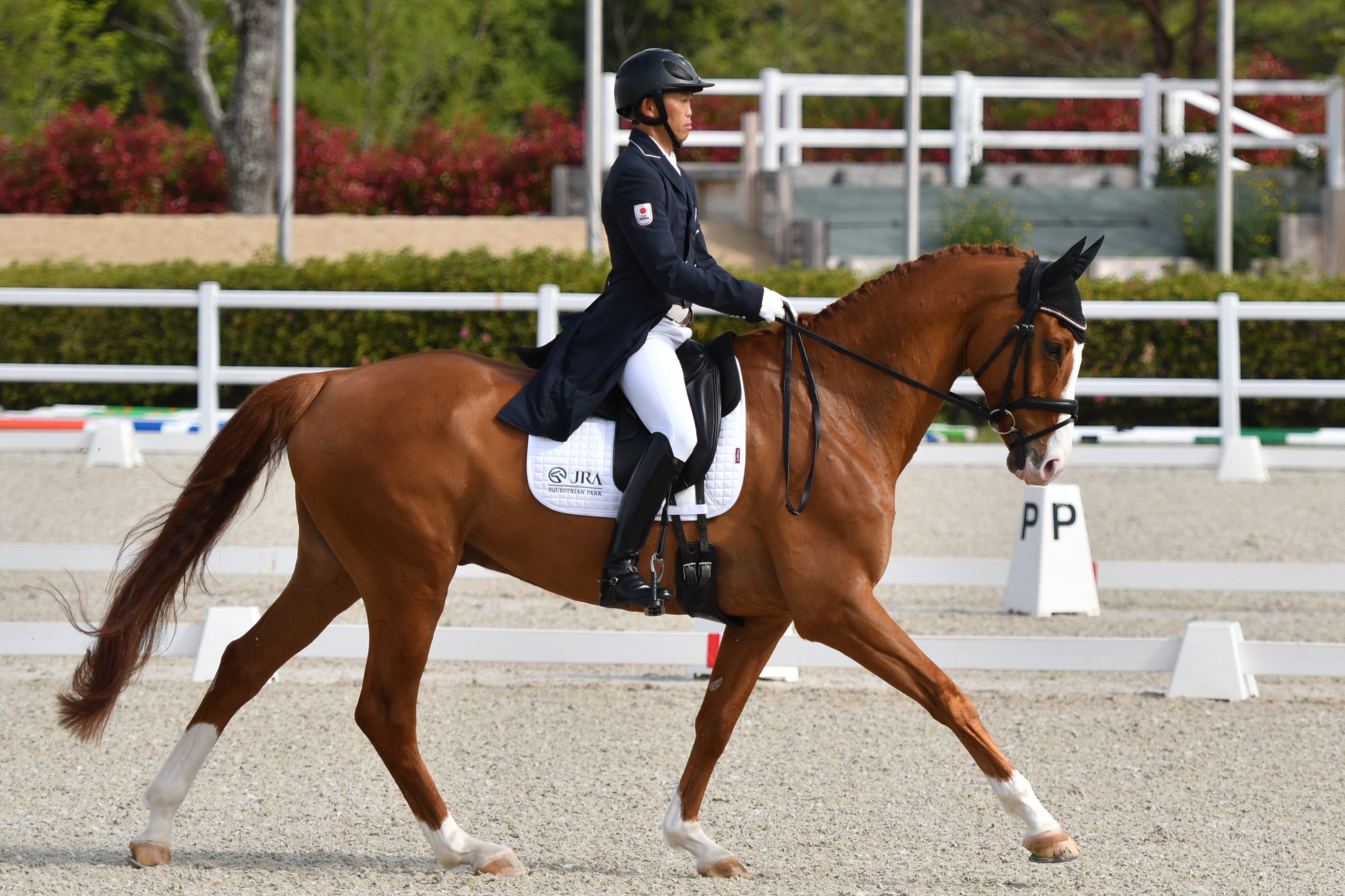 CCI3*-S/1*-Intro Miki 2026》2日目レポート 公益社団法人 日本馬術